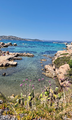 Cala nell'Arcipelago di La Maddalena — acqua turchese